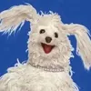 itsyaboienzo_