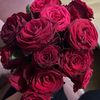 user6rihab