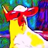 amigo_080