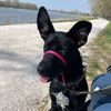badassbrina