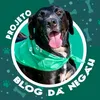 Blog da Negah