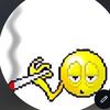Kozy