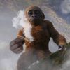 smokin9kage