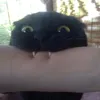 chizkix