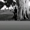 denisse.16822