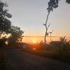 aulya_384