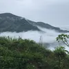 nhamtinh92
