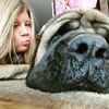 Big Paw Mastiffs