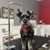 pawspa021