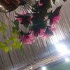noureensabir8