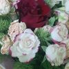 eman63174