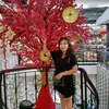 hangpham3269