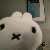 curious_o8