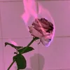 02351.z