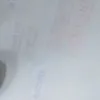 chung_171