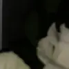 tomaatstejkanna