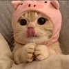 guka_1995