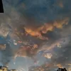 ros4r1o_plv