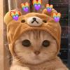 howa_xyz
