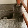 userqcn3fjnwjw