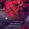 user739199220324