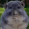 ziisca