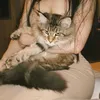 o._meme3