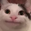 instant_serlix