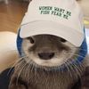 captaincatbeard2