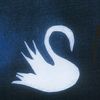 orlandoswan2