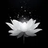 _7th7_kiet