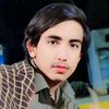 pgallhoyarr