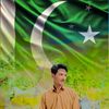 sardarhamza3450