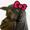 chiropteraes