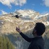 amazing.fazza