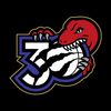 Raptors