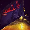 aliahmed83069