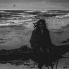 _guts.br_