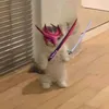 l1lcotizad0