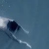 72.92.6