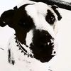 ghost_ryder60