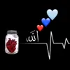 amerkenk8