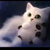 kwra_pasha7