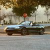 green_bean_nb1