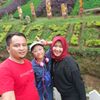 nnaprwnti.120487