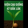 cauxuatkhau