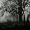 a__lw2