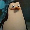 thememepenguin97