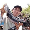 anglerharuan4