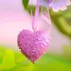 avin_anwar12